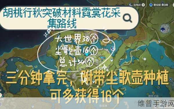 原神霓裳花采集路线全攻略