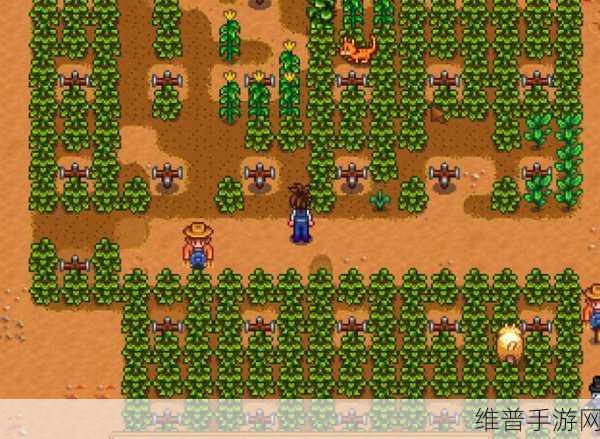 星露谷物语，全面解析自动灌溉农田方法