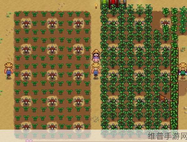 星露谷物语,全面解析自动灌溉农田方法
