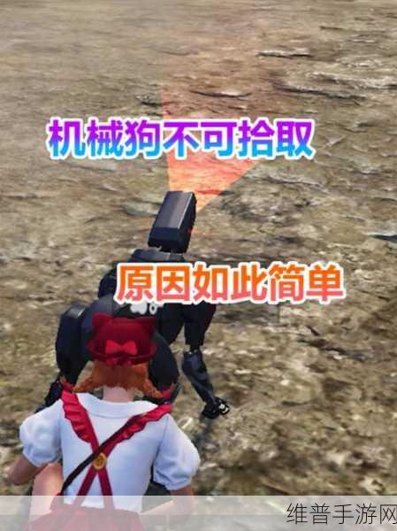 和平精英机械狗笨笨获取秘籍大公开