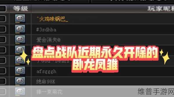 CF手游职业战队风采录，探寻荣耀背后的战术大师