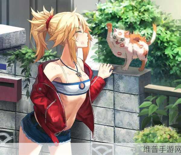 探索未知领域，FGO第七章剧情全览与主线翻译揭秘