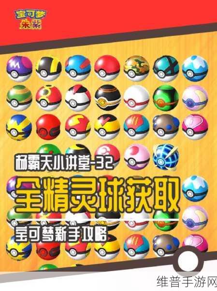 精灵之境，全面解析如何为精灵球改名字