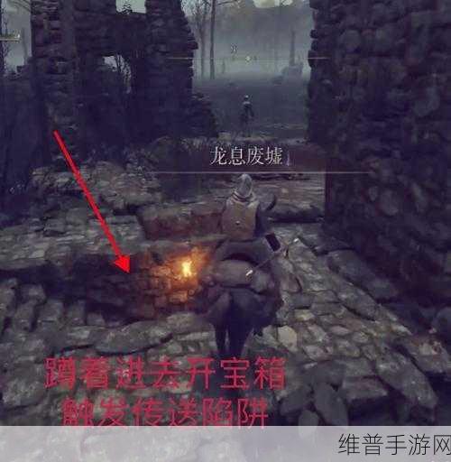 艾尔登法环陨石杖获取攻略详解及网友热议高效入手方法与评价汇总