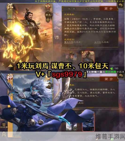 三国杀鲁肃深度玩法解析，策略与技巧的全面指导