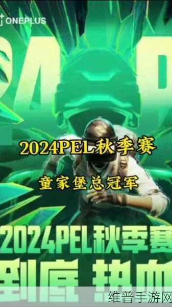 JD 和平精英，童家堡战队的致胜秘籍与深度攻略