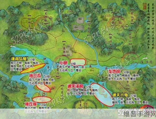 剑网3手游深度攻略，揭秘巴陵县皮皮及宠物获取全解析