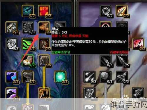 猎人职业大厅升级加点全攻略