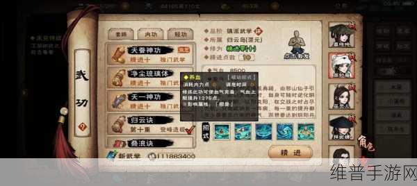 烟雨江湖冰心诀深度解析，解锁武侠世界的极致奥秘