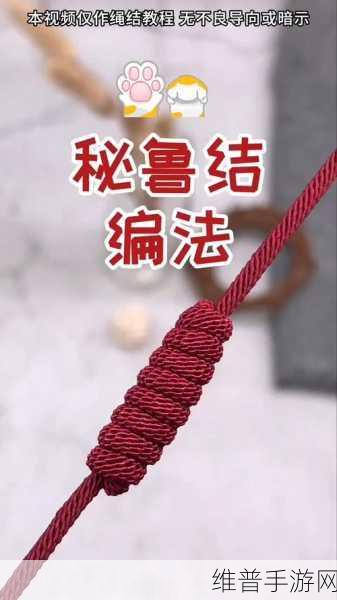 密室逃脱 12 神庙之旅绳结通关秘籍