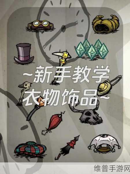 饥荒联机版，全面解析各种箱子容量与策略运用