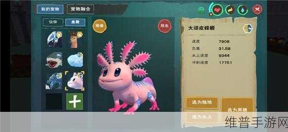 创造与魔法，顽皮蝾螈捕捉饲料大揭秘