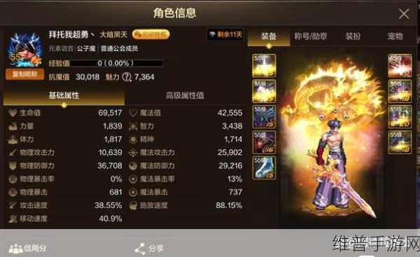 奥兹玛光环，地下城与勇士手游中的至高荣耀象征深度解析