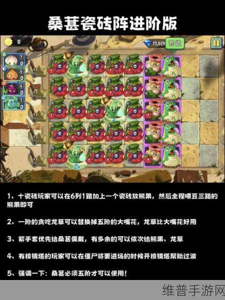 潮爆三国木鹿大王通关阵容搭配深度解析