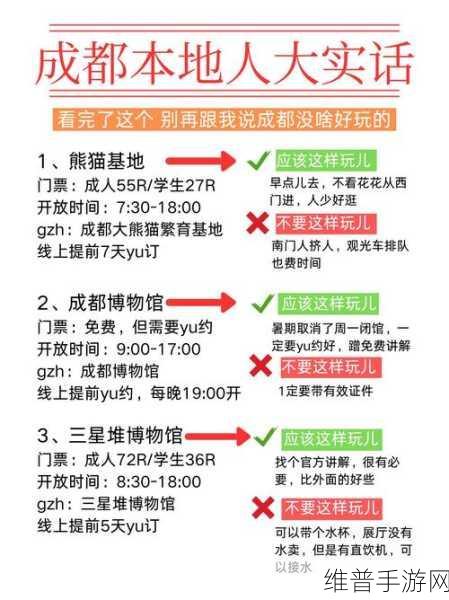 洪兴传说，深度解析特色玩法与攻略指南