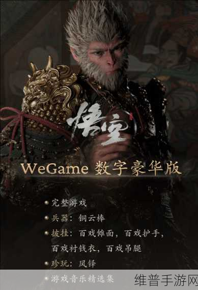 黑神话，悟空手游启动错误全面解析与攻略
