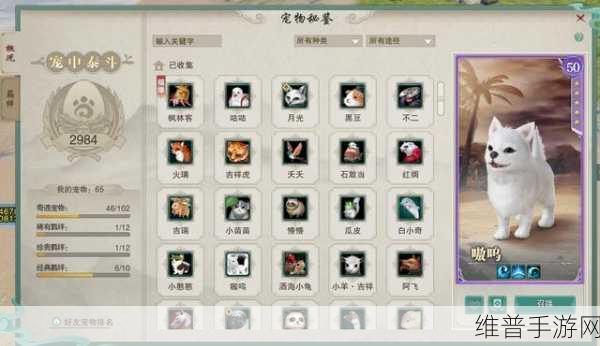 剑网 3觅知音宠物奇遇全攻略指南