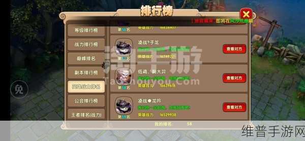 太极熊猫手游攻略，揭秘幽灵船长搭配策略