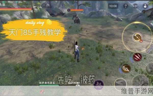 流星群侠传 60 层天门关卡突破秘籍大公开