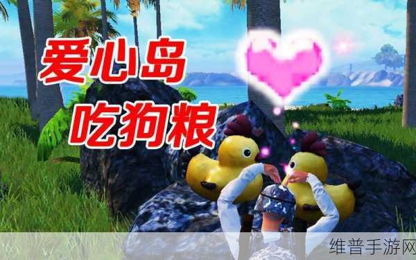 和平精英，小五哥哥直播平台探寻与深度攻略