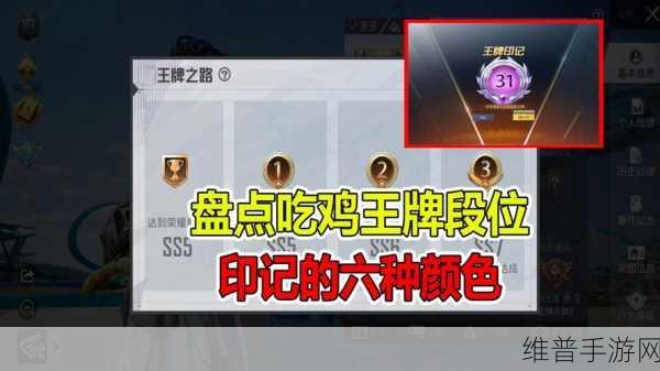 和平精英深度攻略，王牌印记1到13的颜色与获取途径详解