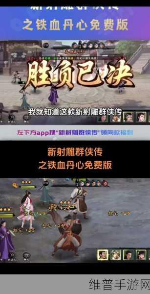 新射雕群侠传之铁血丹心手游前期微氪阵容搭配深度攻略
