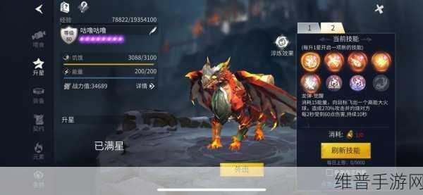 冰原守卫者，龙升星秘籍大公开