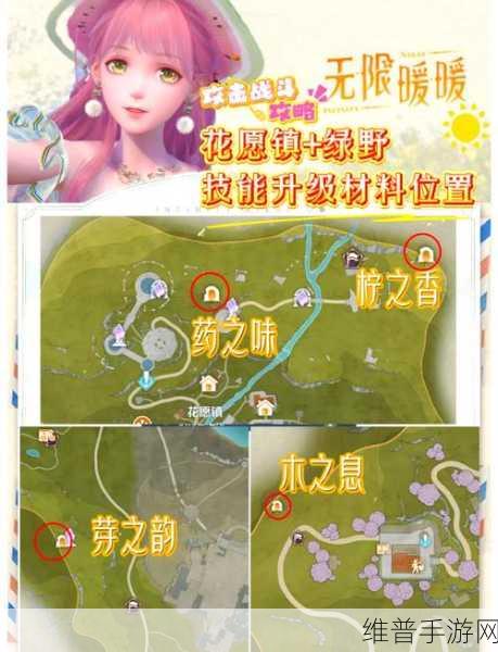 猎魂觉醒薰衣草采集攻略，揭秘薰衣草最多的地点