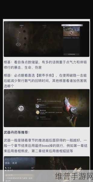 黑神话悟空无限四蓄流加点与装备深度解析