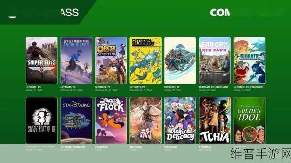 展望2025，微软Xbox游戏阵容背后的神秘面纱全面揭晓