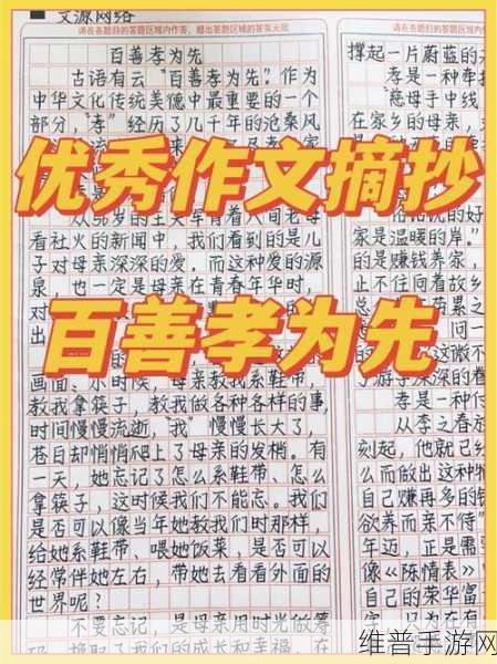 汉字进化游戏攻略，孝子作文错别字全解析与提升策略