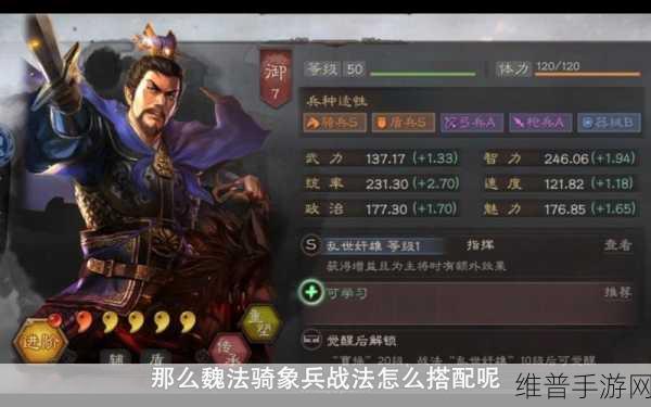 三国志战略版魏法骑战法搭配深度解析