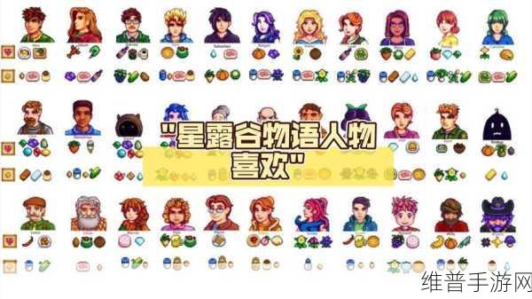 星露谷物语人物形象华丽变身秘籍