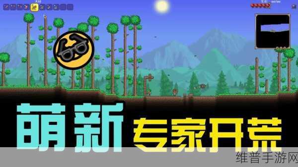泰拉瑞亚新手开荒全攻略，从第一棵树开始的冒险之旅