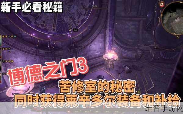 博德之门3深度攻略，莱辛多尔的去留抉择