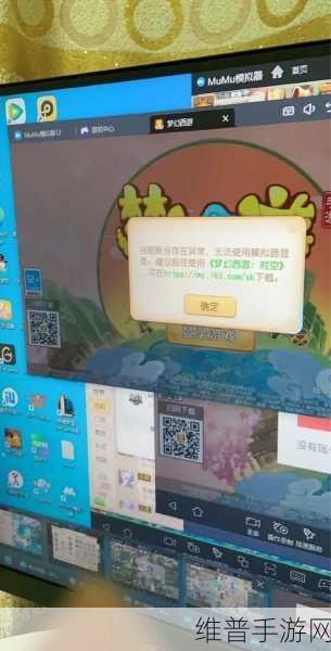 梦幻西游手游登录界面黑屏问题全解析