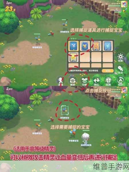 摩尔庄园手游，全面解析雪绒草位置与捕捉攻略