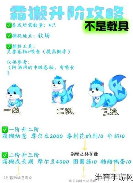 摩尔庄园手游，全面解析雪绒草位置与捕捉攻略