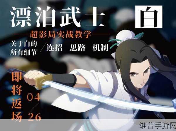 火影忍者手游白深度玩法指南，全面解析与实战技巧