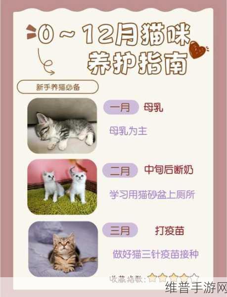 白猫计划新手技巧全面介绍，助你快速成长