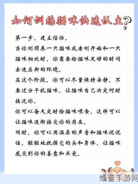白猫计划新手技巧全面介绍，助你快速成长