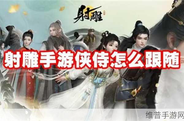 射雕手游侠侍跟随全攻略，解锁战斗新体验