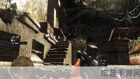 探秘孤岛惊魂 3,全方位攻略秘籍大揭秘