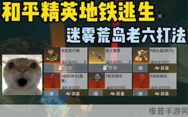 和平精英深度攻略,揭秘隐藏攻楼点,制胜战斗先机