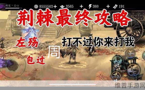 影之刃荆棘51技能深度剖析与资源管理高效运用策略