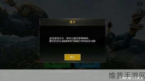 绝地求生:刺激战场彩色名字代码设置全攻略