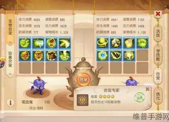 梦幻西游手游泡泡合宠秘籍大公开