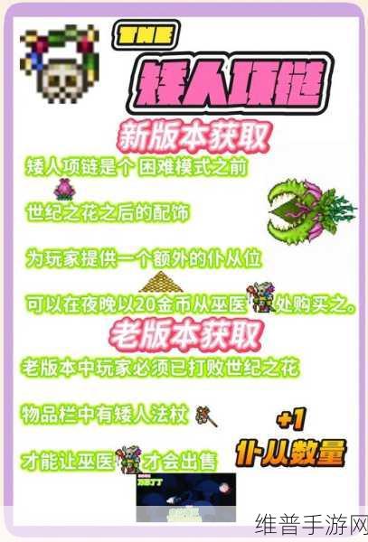 泰拉瑞亚改名秘籍，轻松定制专属角色名