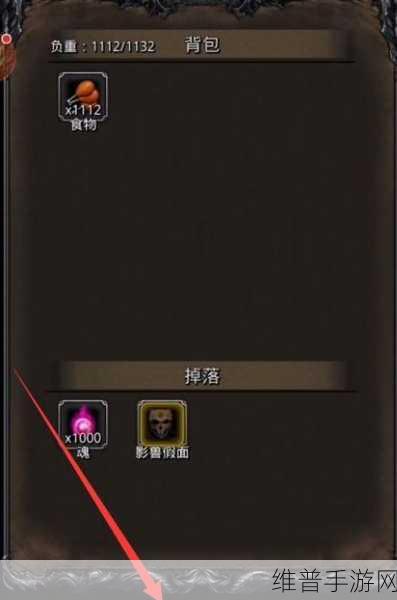 地下城堡2高效攻略，揭秘如何快速刷金币