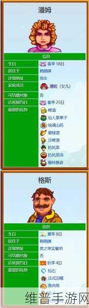 星露谷物语深度攻略,如何与NPC共赴温泉之旅
